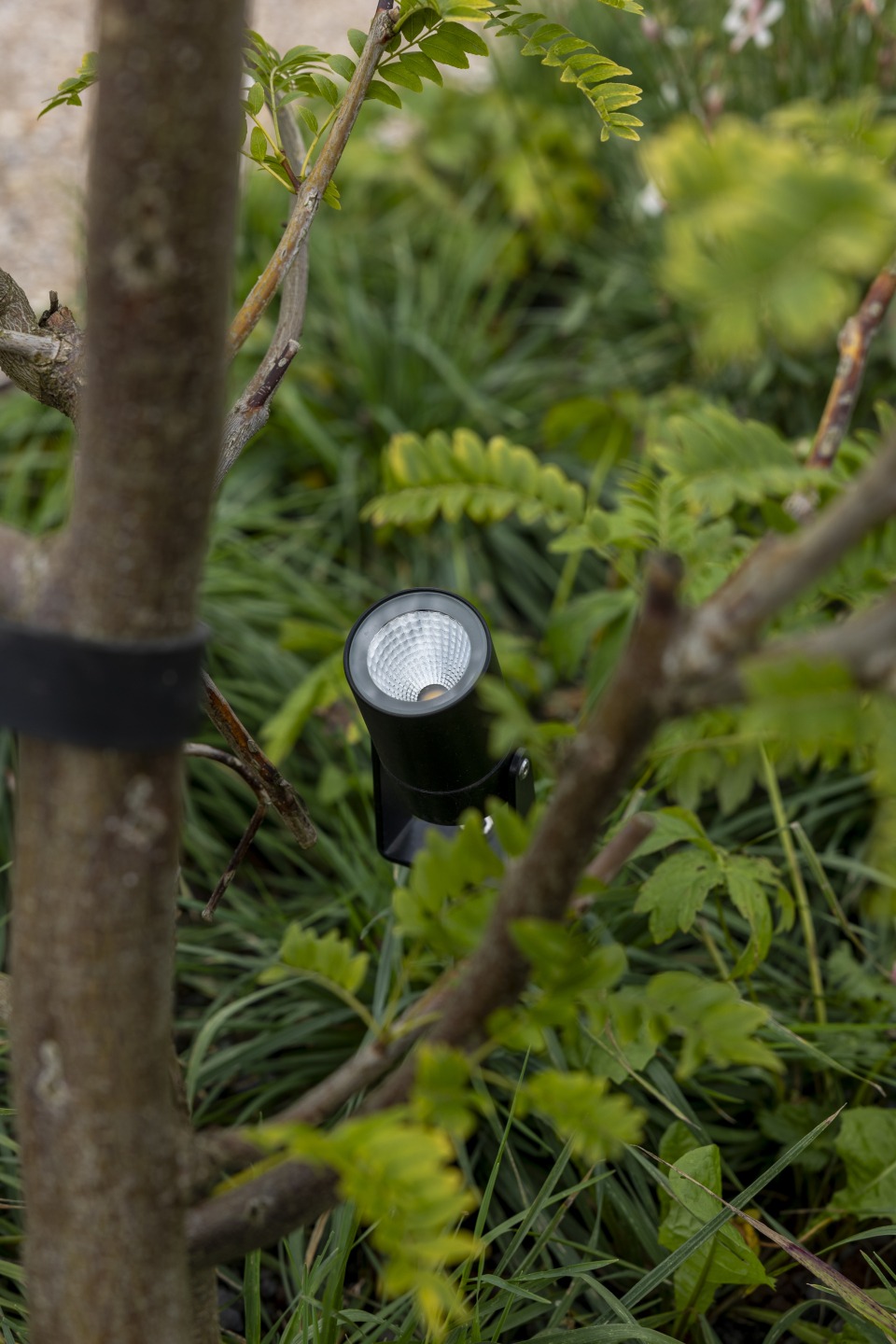 Discreet geplaatste buitenverlichting tussen beplanting in tuin, geïnstalleerd door Castelein Landscaping