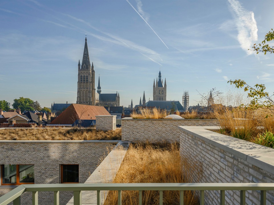 Groene daktuin met uitzicht op stad en historische gebouwen, aangelegd door Castelein Landscaping